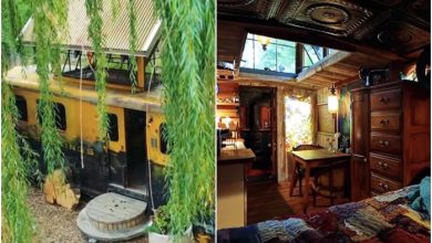An old train car and a useless bridge: 5 unexpected objects transformed into cozy homes