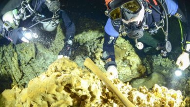 Artifacts dating back 9,000 years were found in an underwater cave.