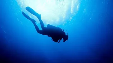 Marido y mujer fueron a un resort para gente rica y no sobrevivieron al buceo.