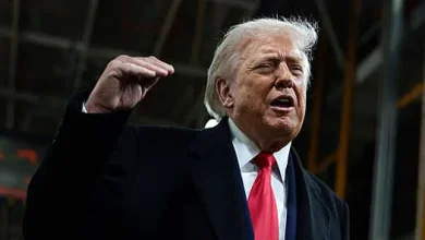 Miley: Trump invitó a Argentina a sumarse a los miembros fundadores del “Consejo de Paz” en Gaza