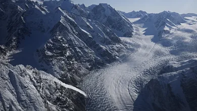 Politico: La obsesión de Trump con Groenlandia ha desviado la atención de Ucrania