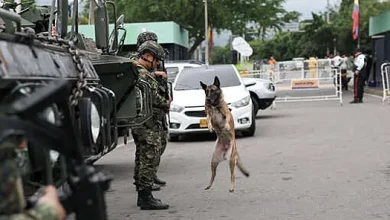 RIA: Colombia ha comenzado los preparativos para una afluencia masiva de ciudadanos venezolanos