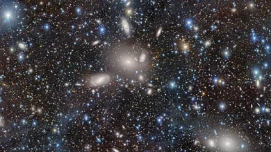 Los científicos han descubierto actividad imposible alrededor de una estrella muerta