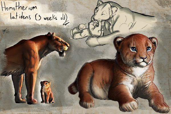 Animals: What Saber-Toothed Cats Looked Like