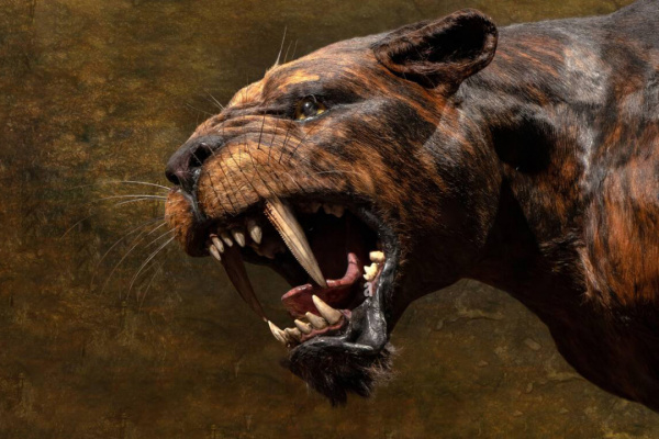 Animals: What Saber-Toothed Cats Looked Like