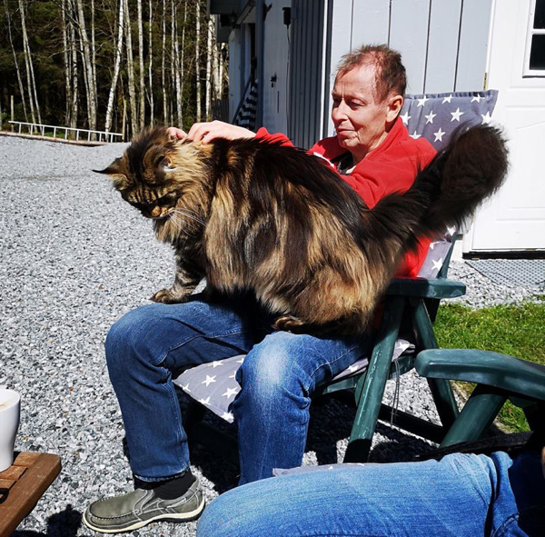 Bigpicture.ru photos of very large animals