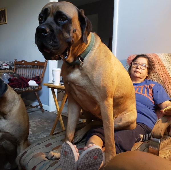 Bigpicture.ru photos of very large animals