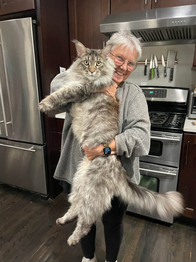 Bigpicture.ru photos of very large animals