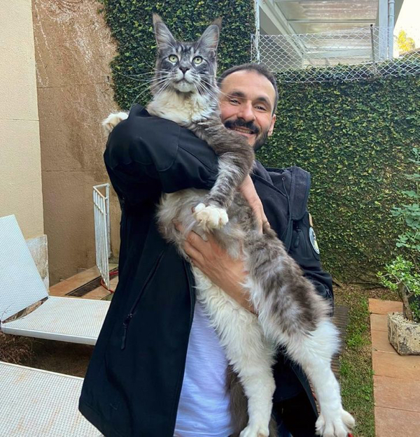 Bigpicture.ru photos of very large animals