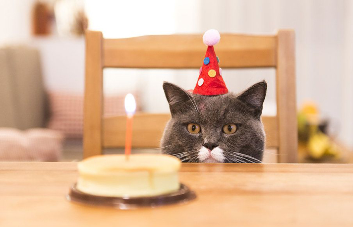 The number nine is considered mystical in different cultures.