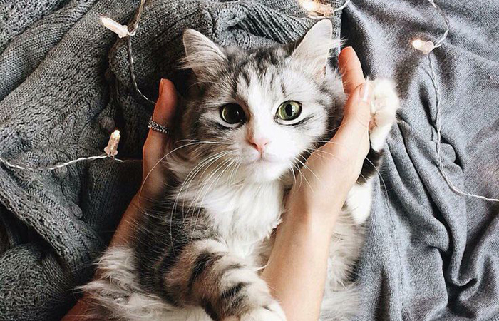 To this day, this belief has no scientific explanation, only speculation.