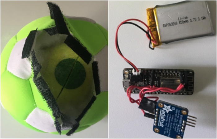 A uniquely shaped phone has been developed for dogs...