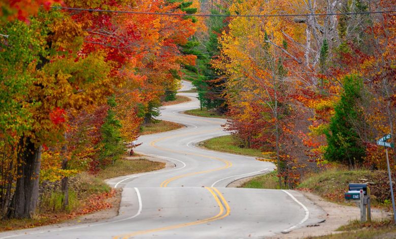 Colors of Autumn 2025 Colors of Autumn 2025