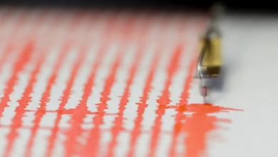 6.07 magnitude quake strikes India's Andaman Islands 6.07 magnitude quake strikes India's Andaman Islands