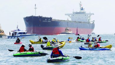 Australia arrests dozens in coal port protest Australia arrests dozens in coal port protest