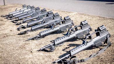 Berlin to lift suspension of Israel weapons sales, but says ceasefire must hold Berlin to lift suspension of Israel weapons sales, but says ceasefire must hold