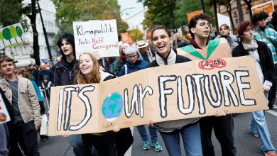 EU agrees weakened climate target in final-hour deal for COP30