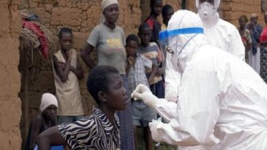 Ethiopia confirms outbreak of deadly Marburg virus: Africa CDC Ethiopia confirms outbreak of deadly Marburg virus: Africa CDC