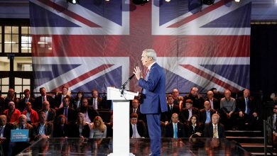 Farage says he ‘never directly racially abused anybody’ after school charges