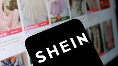 France ramps up pressure on EU to investigate Shein over sex dolls France ramps up pressure on EU to investigate Shein over sex dolls