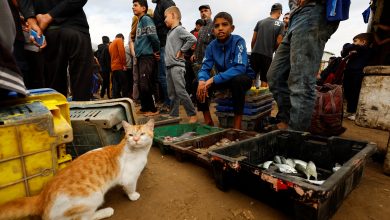 Hamas quietly reasserts control in Gaza as post-war talks grind on