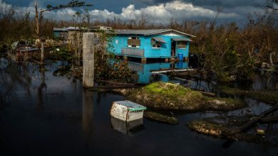 Jamaica announces deadly bacterial outbreak Jamaica announces deadly bacterial outbreak