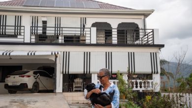 Jamaicans have been turning to solar. It paid off after the storm Jamaicans have been turning to solar. It paid off after the storm