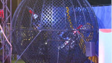 Motorcyclist dies in ‘Globe of Death’ circus accident Motorcyclist dies in ‘Globe of Death’ circus accident