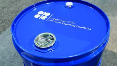 OPEC+ set to hold oil output policy steady on Sunday, sources say OPEC+ set to hold oil output policy steady on Sunday, sources say