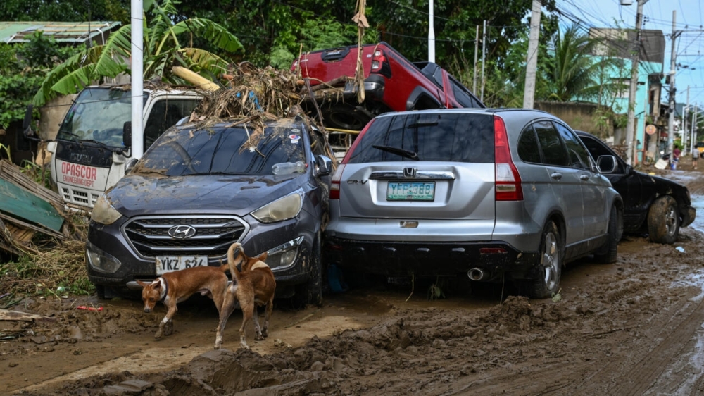 Philippine death toll tops 140 as typhoon heads towards Vietnam Philippine death toll tops 140 as typhoon heads towards Vietnam