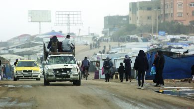 Suspicious flights to cleanse Palestinians Suspicious flights to cleanse Palestinians