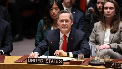 UNSC adopts Gaza Peace Plan