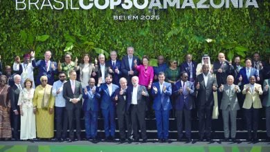 World leaders launch fund to save forests World leaders launch fund to save forests