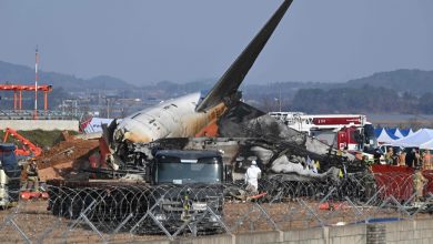 A year on, Jeju Air crash report delayed