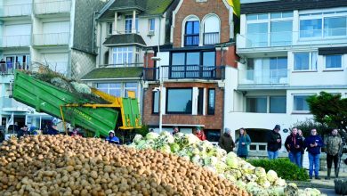 French government calls for Christmas truce in farmer protests