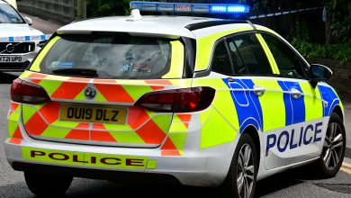 Hundreds of ‘high-value’ artefacts stolen from UK museum