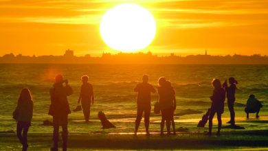 MENA temperatures rising twice as fast as global average: WMO