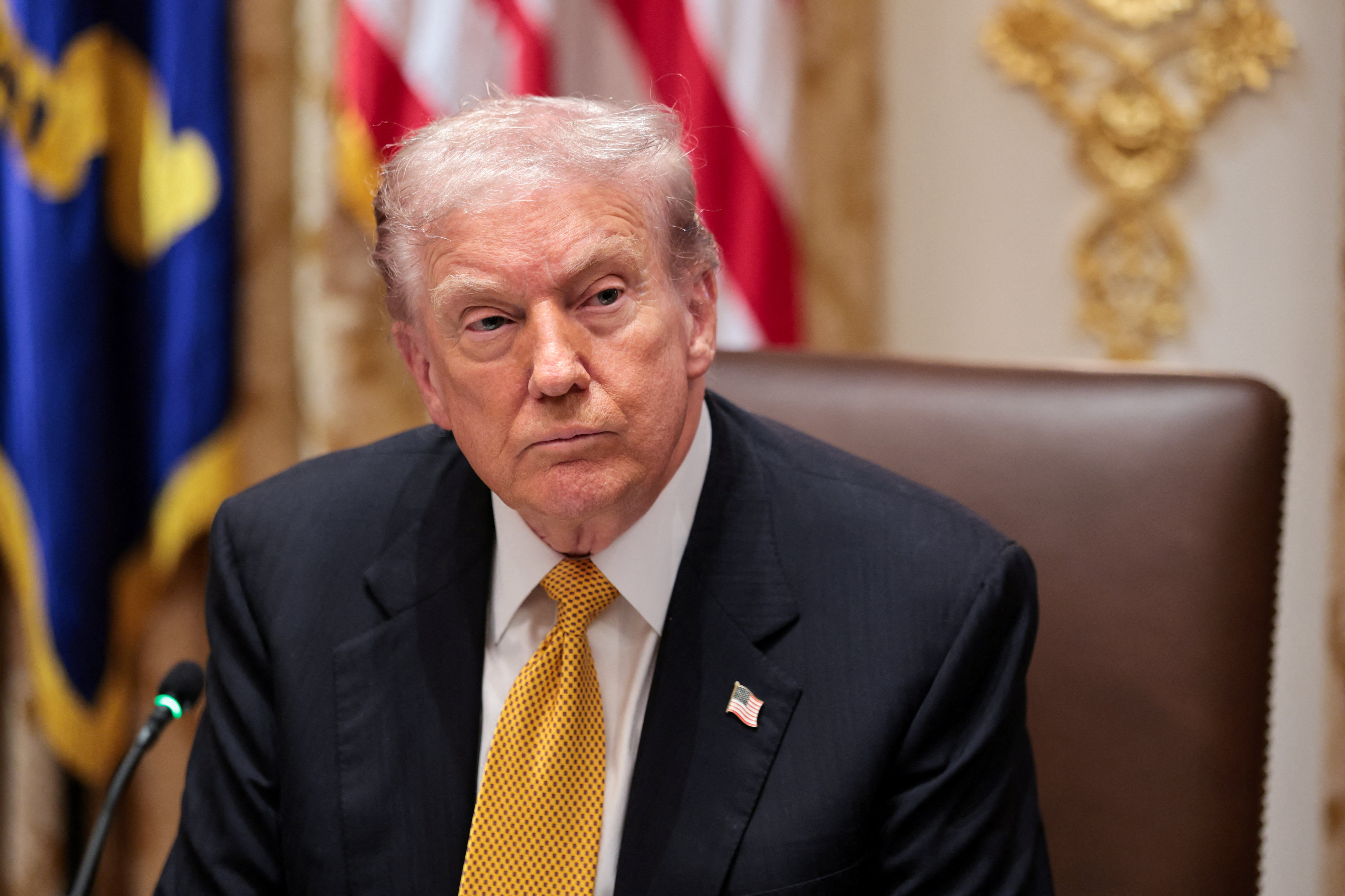 Trump plan to require social media handles from travellers sparks pushback