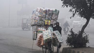 China, Pakistan pledge deeper cooperation in trade China, Pakistan pledge deeper cooperation in trade