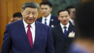 China seeks enhanced ties with Ireland as leaders meet in Beijing