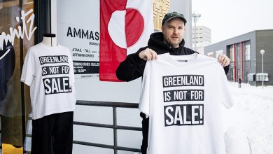 Denmark and Greenland to face Vance in high-stakes White House meeting