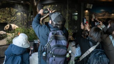 Fans bid farewell to Japan’s only pandas Fans bid farewell to Japan’s only pandas