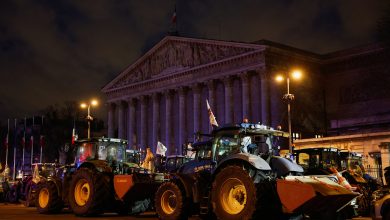 French farmers stage new Paris protest in bid to halt Mercosur deal