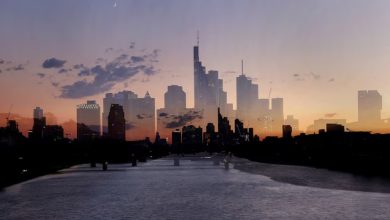 Germany must seek new global partners, says economy minister Germany must seek new global partners, says economy minister