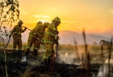 Human remains found amid Australia bushfires, police say
