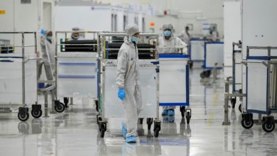 India says two Nipah virus cases, but situation contained