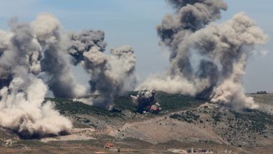 Israel has destroyed Lebanon’s orchards, wildlife habitats – raising troubling international law questions