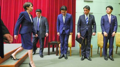 Japan PM seeks snap poll to seek stronger mandate