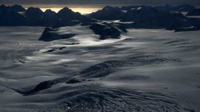 Nordics reject Trump’s claim of Chinese and Russian ships around Greenland, FT reports