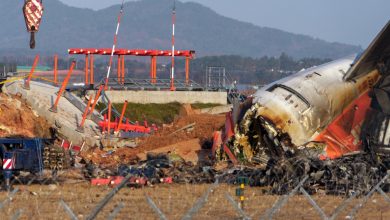 Runway wall caused the South Korean plane crash